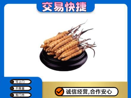 辽阳市辽阳县回收冬虫夏草多少钱每克